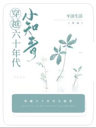 穿越六零知青