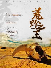 荒野之王完整版