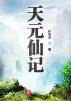 天元仙记讲的什么故事