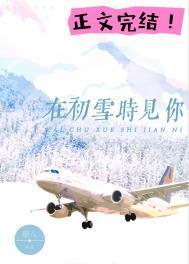 在初雪时见你TXT资源