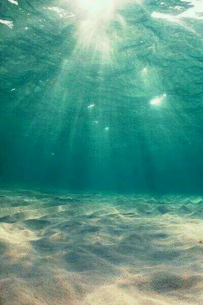 全才天医林羽最新更新章节无弹窗