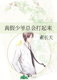 真假少爷总会打起来txt