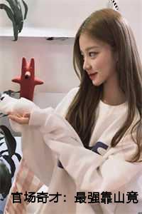 官场奇才最强靠山竟是我自己动画