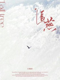 追燕子的男歌手