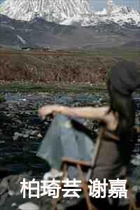 柏琦芸谢嘉沈恒免费全文