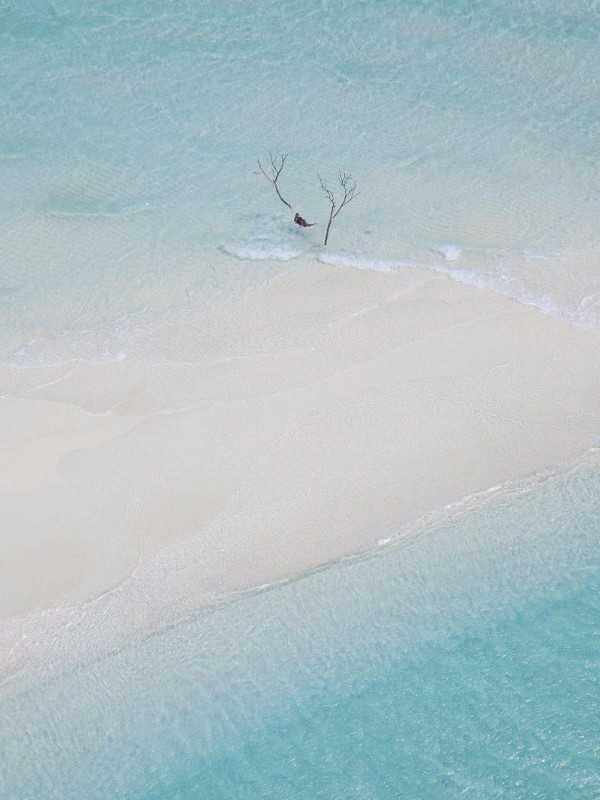 愿望台剧免费播放