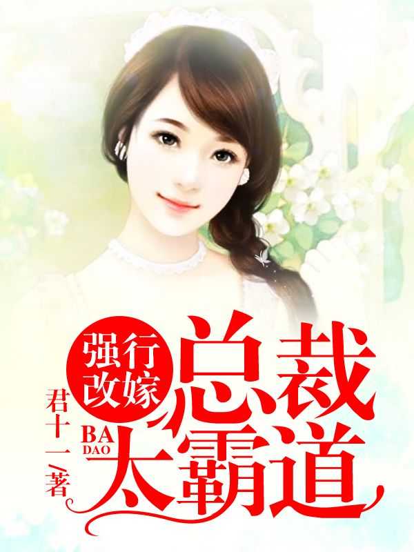 改嫁酷总裁