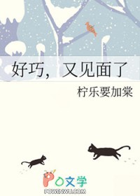 又见面了用英语翻译