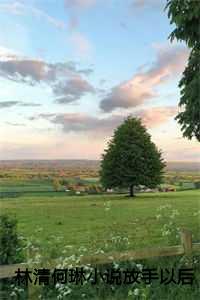 放手之后林清何琳正版