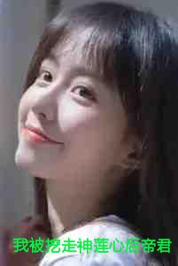 我被挖走神莲心后帝君杀疯了吗