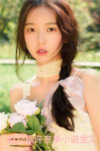 赵幼眠许京承24章详细内容