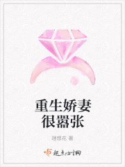 逍遥小贵婿李辰安宁楚楚的