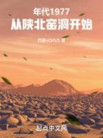 孙向阳是谁演的