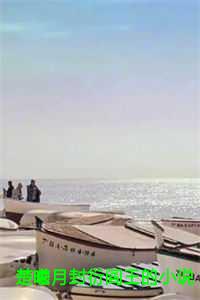 楚曦月封衍阎王的12章