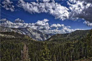 真的有不爱自己孩子的父母吗知乎