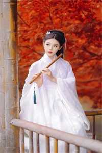 昆仑一剑全文阅读