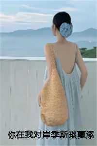 你在我对岸季斯琰夏添免费阅读19章