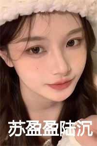 陆沉苏盈盈免费阅读最新章节