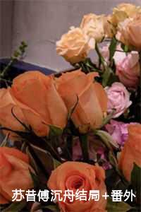 江寒月傅沉舟大结局