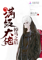 陆轩宁宛西免费阅读最新