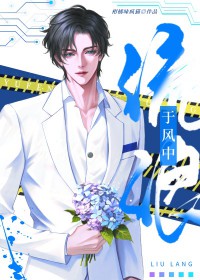 于风中流浪 柑橘味疯猫