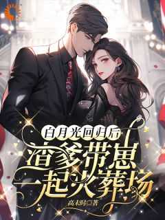 云以冉明川最新章节免费阅读全文最