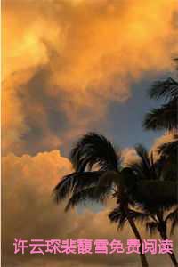 许云琛裴馥雪免费阅读最新章节更新