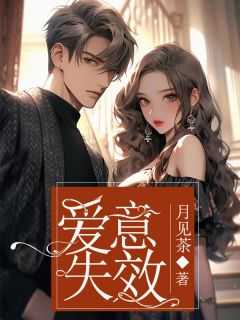 爱意失效报告正版观看