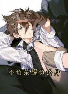 不负荣耀负终身有几部