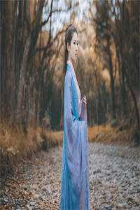 斗罗龙魂霸王枪林霄