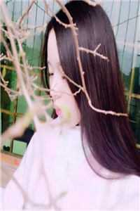 乔沅孟聿丞爱情故事