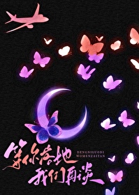 等你落地我们再谈TXT