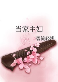当家主妇情景剧集