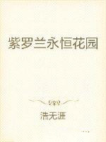 紫罗兰永恒花园讲了什么
