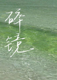 碎镜难圆旧时影大结局