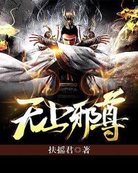 无上邪尊电子书