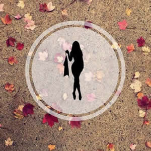 赵雪赵琳迈克全文免费阅读最新章节列表