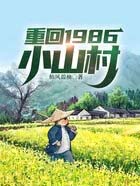 重回1986小山村高明程免费全文阅读