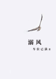 溺风txt百度资源