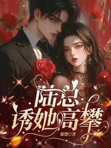 陆总诱她高攀大结局