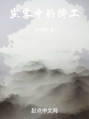 尘雾中的特工好看吗