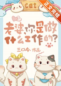 老婆你是做什么工作的最新章节更新时间