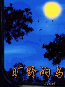 旷野的鸟在你眼里找到了天空