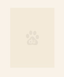 鉴宝鬼瞳开局捡漏成首富福先生