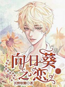 向日葵之恋全集免费观看