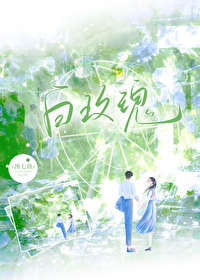 白玫瑰可以用来祭奠吗