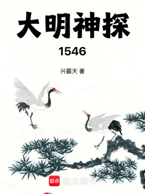 大明神探1546TXT