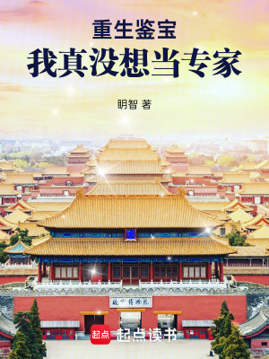 重生鉴宝我真没想当专家 TXT