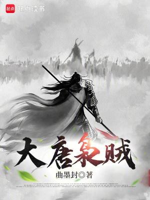 大唐枭贼epub 百度