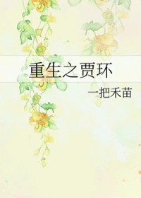 重生贾环娶薛宝钗